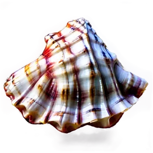 Nautical Conch Shell PNG Puf80 PNG