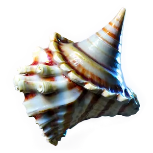 Nautical Conch Shell PNG Utr42 PNG