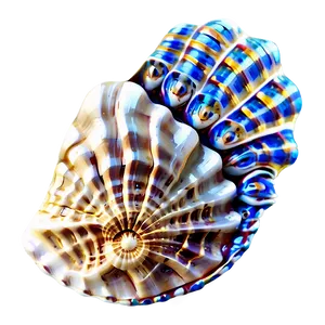 Nautical Seashell Theme PNG Vnp