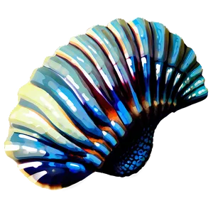 Nautical Seashell Theme PNG Xng54