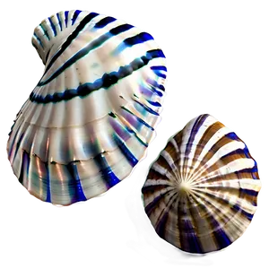 Nautical Seashells Png Qsx66 PNG image