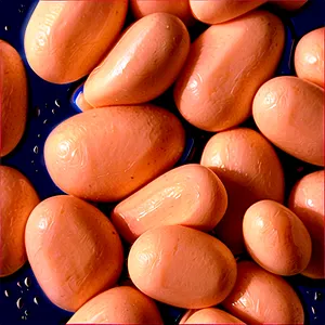 Navy Beans Can PNG 06212024