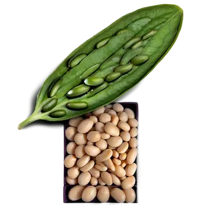 Navy Beans Png 6 PNG image