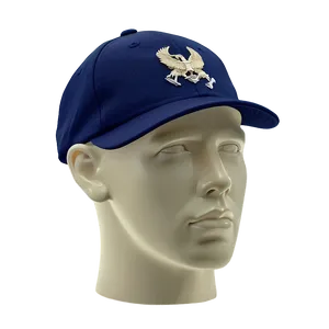 Navy Dad Cap Icon PNG 06272024 PNG