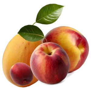 Nectarine And Peach PNG Hbi