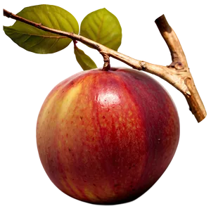 Nectarine Art PNG Joa