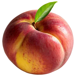 Nectarine Art PNG Tqu