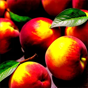 Nectarine Close-up Png Tqd PNG image