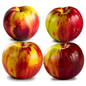 Nectarine Color PNG Egr