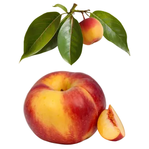 Nectarine Color PNG Rrj PNG