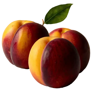 Nectarine Harvest PNG 68