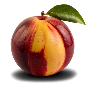 Nectarine Harvest PNG 76 PNG
