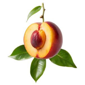 Nectarine Health Benefits PNG 06252024 PNG