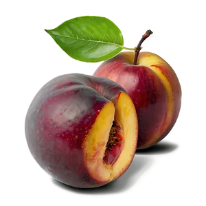 Nectarine In Hand PNG 06252024