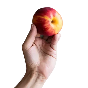 Nectarine In Hand PNG Dvh