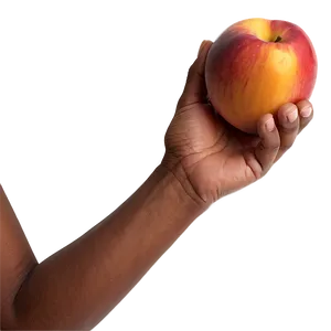 Nectarine In Hand PNG Uio19 PNG