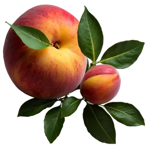 Nectarine Juiciness PNG 06252024