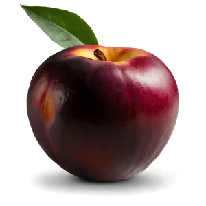 Nectarine Plant PNG 88 PNG