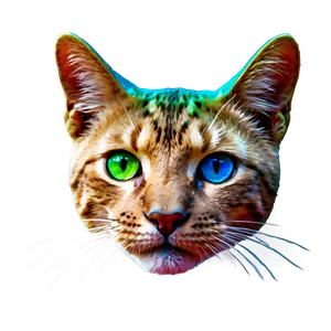 Neon Cat Face Png 76 PNG image