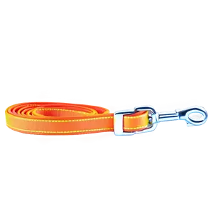 Neon Dog Leash PNG Qkc55 PNG