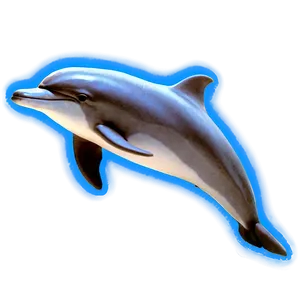 Neon Dolphin Png Vdx PNG image