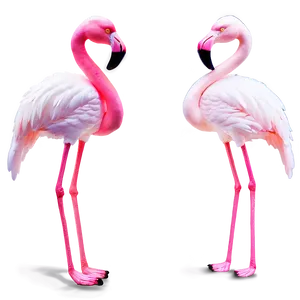 Neon Flamingo Light Png 47 PNG image