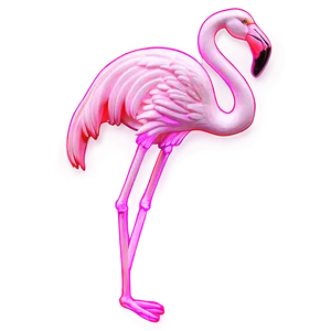 Neon Flamingo Light PNG Wyw10