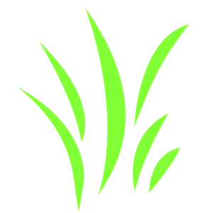 Neon Green Grass Blades Vector PNG image