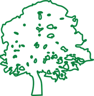 Neon Green Tree Outline
