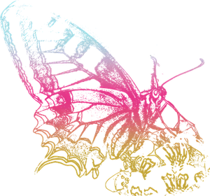 Neon Outlined Butterflyon Black PNG image