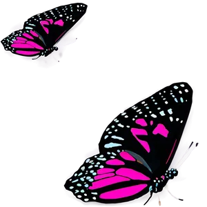 Neon Pink Butterfly PNG 13