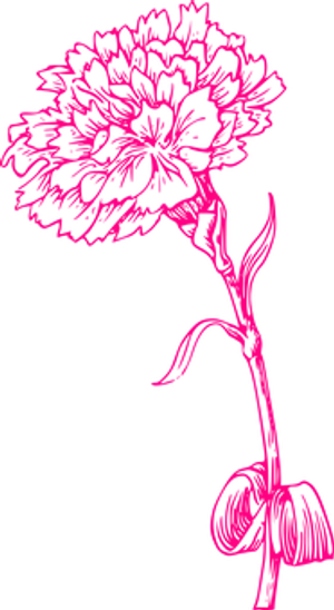 Neon Pink Flower Sketch PNG image