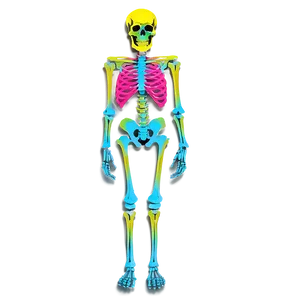 Neon Skeleton Png 11 PNG image