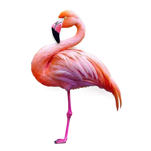 Neon Tropical Flamingo PNG 06272024