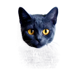 Nerdy Cat Meme PNG 05212024 PNG