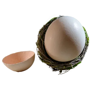 Nest Egg PNG 98