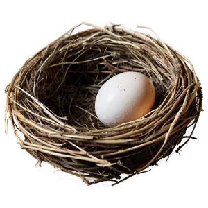 Nest Egg PNG Les