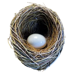 Nest Egg PNG Wmp11