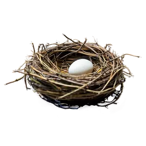 Nest In Autumn Png 05252024 PNG image