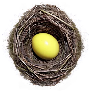 Nest In Meadow PNG 05252024 PNG
