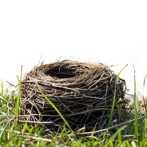 Nest In Meadow PNG 86