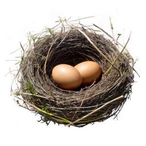 Nest In Meadow Png Tce14 PNG image