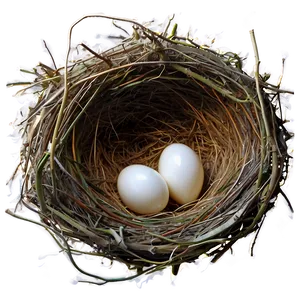 Nest In Secret Place Png 05252024 PNG image