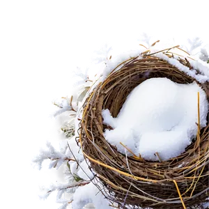 Nest In Snow PNG 05252024