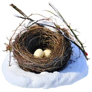 Nest In Snow PNG 20 PNG