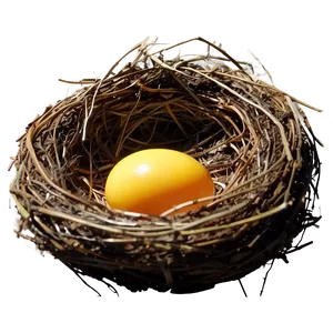 Nest In Sunlight PNG 40