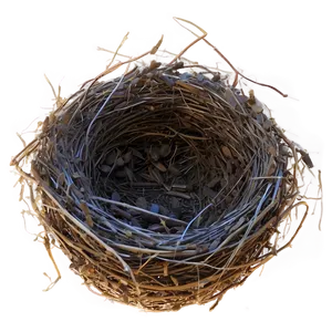 Nest In Sunset PNG Bbq76 PNG