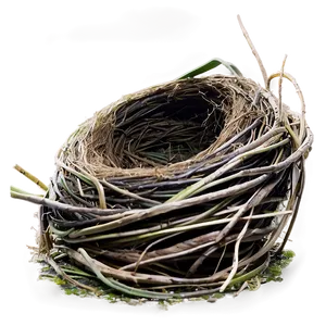 Nest On Ground PNG 10 PNG
