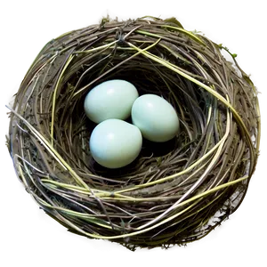 Nest On Ground Png Mbg39 PNG image