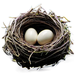 Nest On Ground Png Uxv PNG image